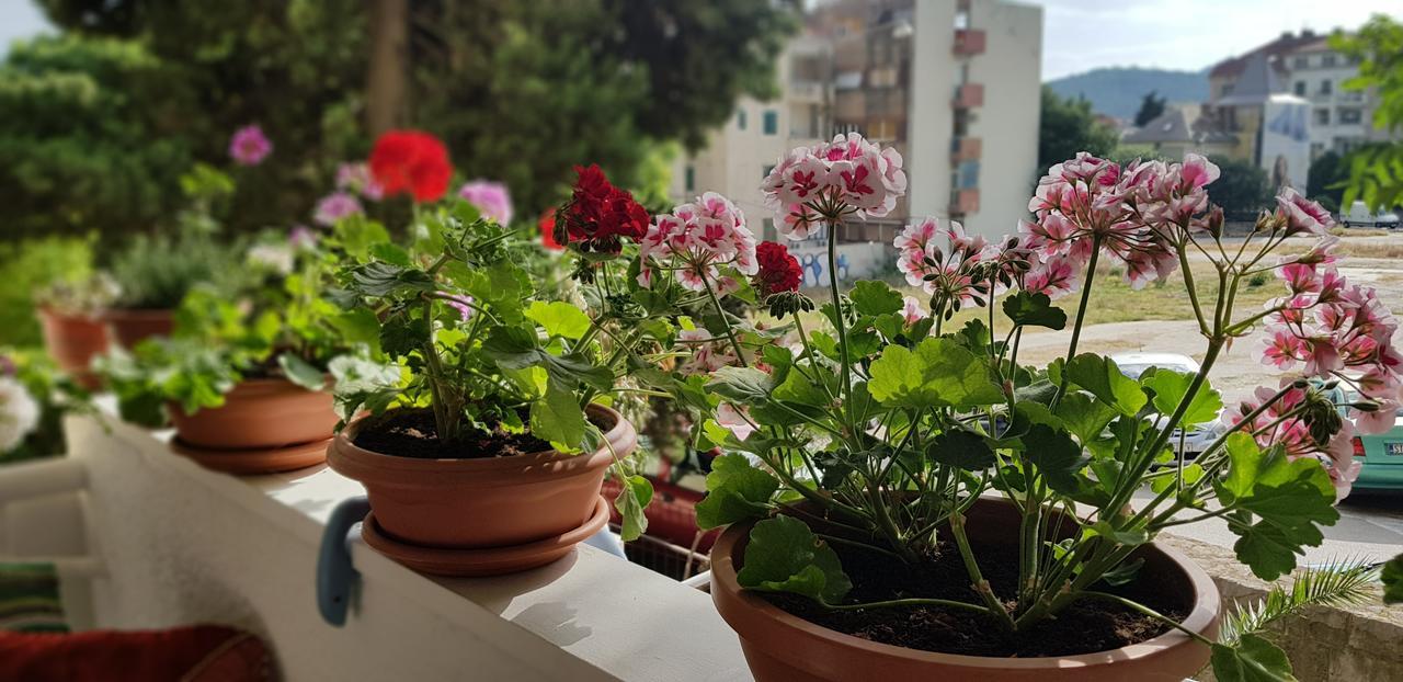 Apartment With Balcony Red Rose Split Dış mekan fotoğraf